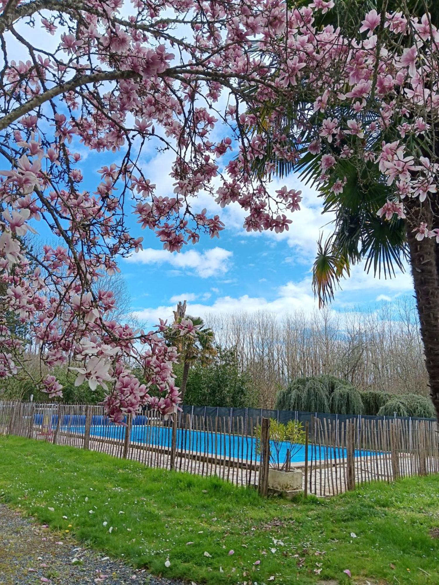Gite Au Moulin Du Comte Bourrouillan Екстериор снимка